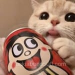 Avatar de Melissa Montoya